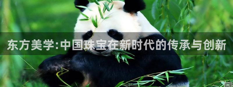 天宏娱乐平台登录