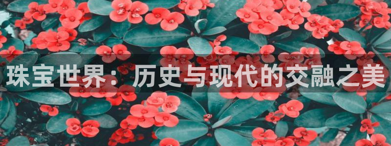 天宏娱乐大叔团队介绍视频