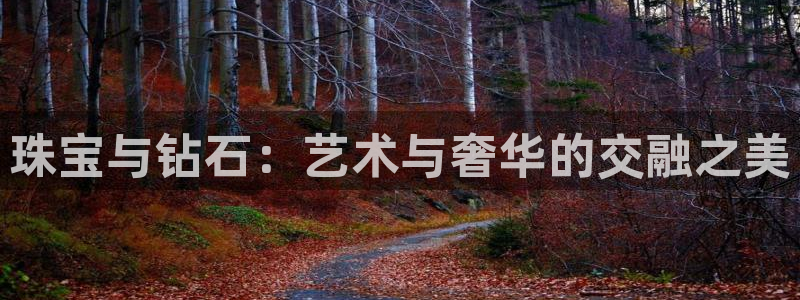 天宏娱乐地址查询