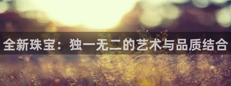 天宏娱乐刘叔