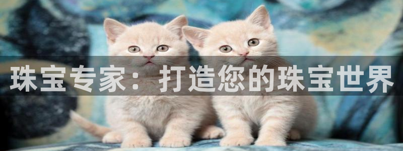 天宏2娱乐主管