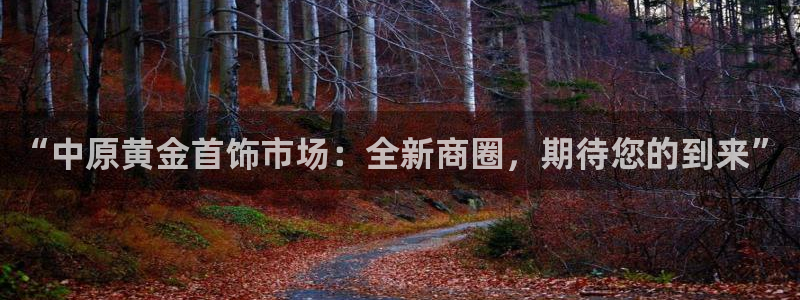 天宏娱乐直播团队介绍