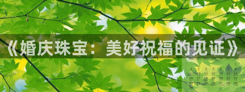 天宏娱乐的王叔