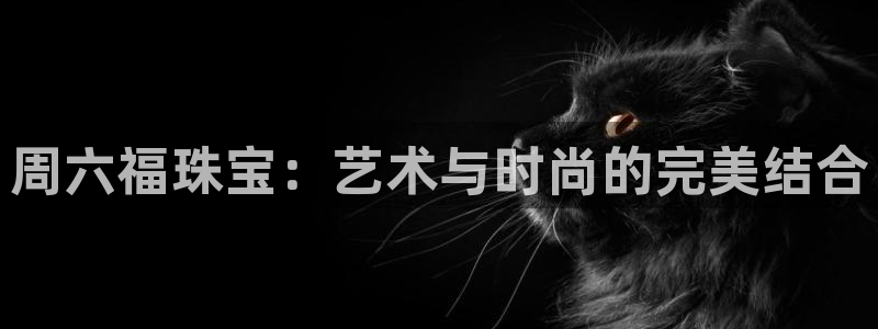 天宏娱乐股东