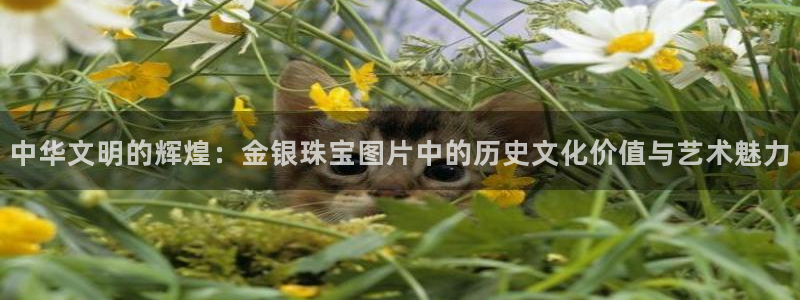 郑州天宏娱乐：中华文明的辉煌：金银珠宝图片中的历史文化价值与