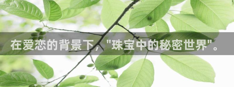 天宏娱乐君叔