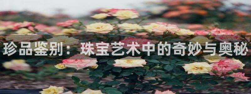 天宏娱乐涛涛