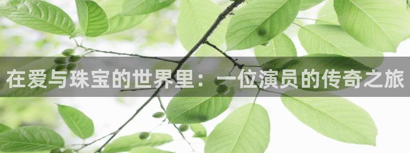 天宏娱乐小号怎么玩视频：在爱与珠宝的世界里：一位演员的传奇之