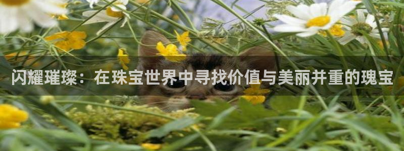 天宏3娱乐平台