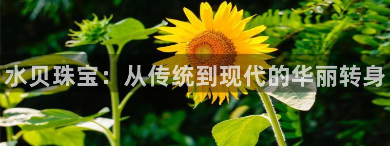 天宏娱乐 22376实e力