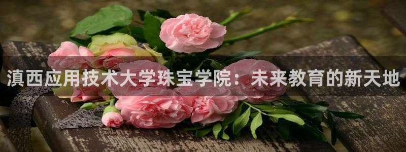天宏娱乐丁叔