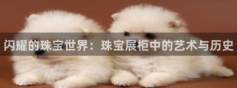 天宏娱乐运营29229