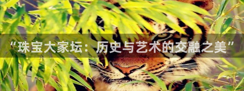 天宏娱乐秦叔的大哥