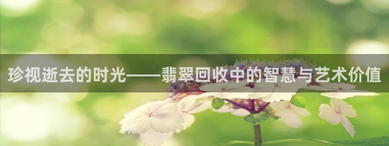 天宏娱乐广西吴叔