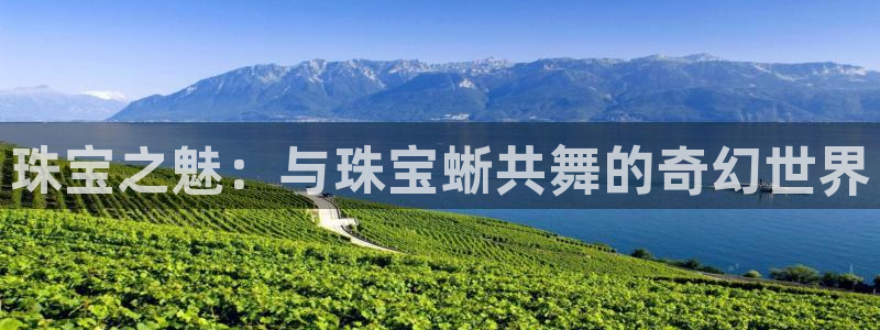 天宏娱乐福叔