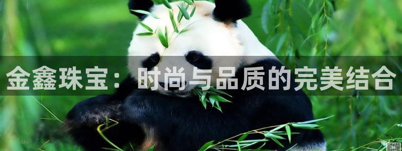宏天娱乐会所