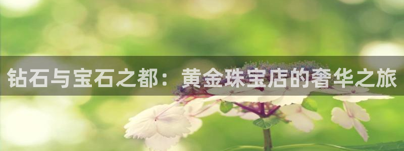 天宏娱乐直播团队名单
