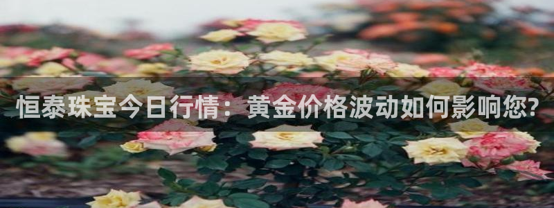天宏娱乐是黑平台吗