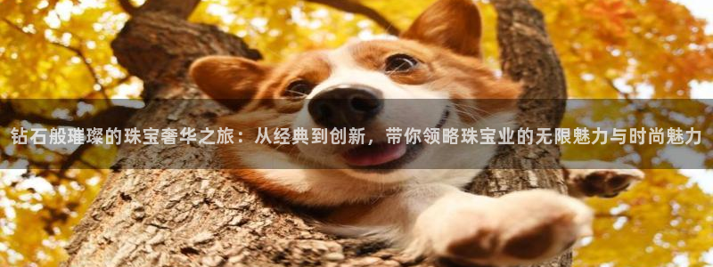 河源天宏娱乐店