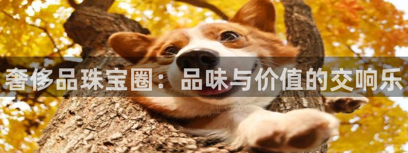 天宏娱乐是干嘛的啊