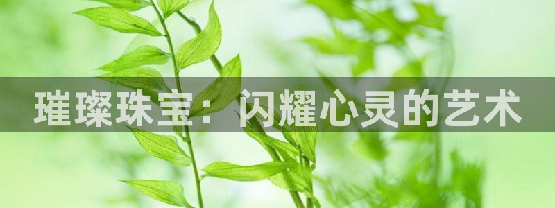 天宏娱乐开户：璀璨珠宝：闪耀心灵的艺术