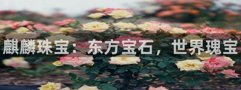 天宏娱乐可以提现吗