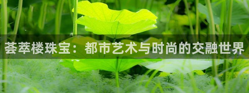 宏天广场娱乐会所地址：荟萃楼珠宝：都市艺术与时尚的交融世界