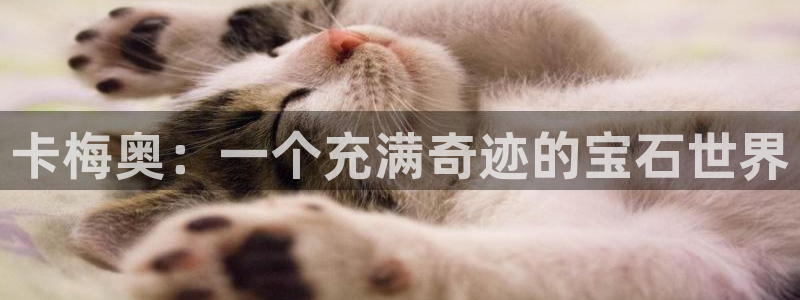 天宏娱乐指尖自：卡梅奥：一个充满奇迹的宝石世界