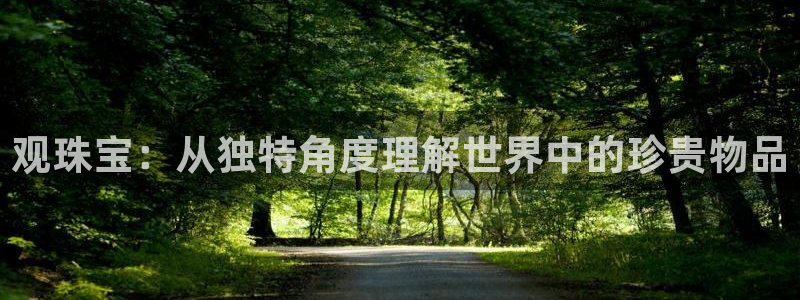 天宏娱乐 22376实e力