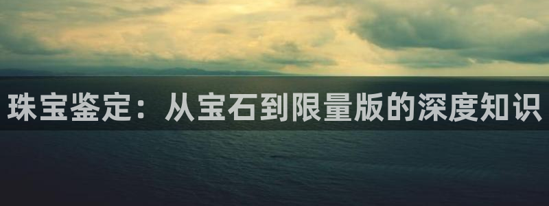 天宏娱乐丁叔：珠宝鉴定：从宝石到限量版的深度知识