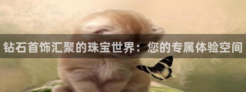 天宏娱乐传媒岳阳