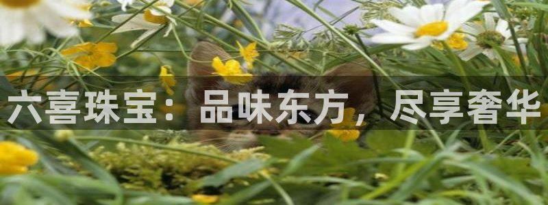 天宏娱乐小号官网下载