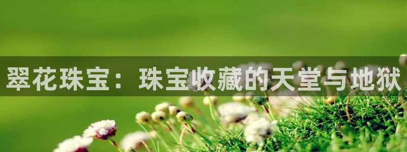 天宏娱乐为什么被骂