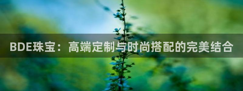 天宏娱乐直播间