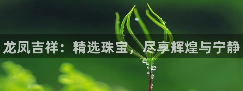 天宏3娱乐