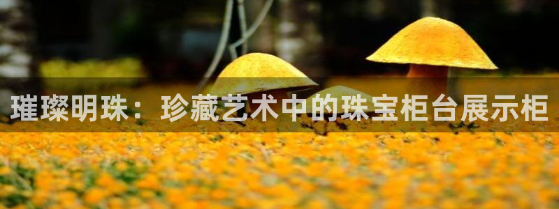 天宏娱乐直播间在哪