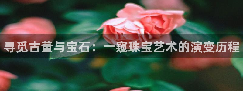 天宏娱乐怎样赚钱的啊