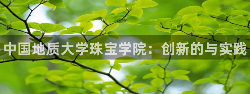 天宏娱乐2000