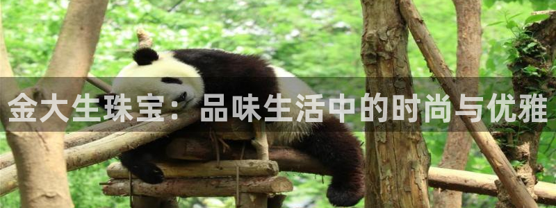 天宏娱乐男孩