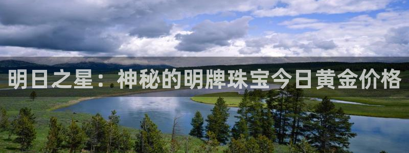 天宏娱乐彬彬叔