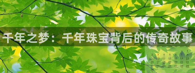 天宏娱乐总店电话
