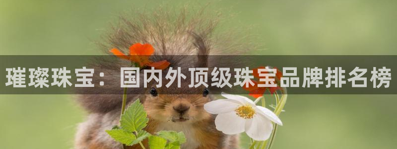 天宏娱乐 直播间在哪