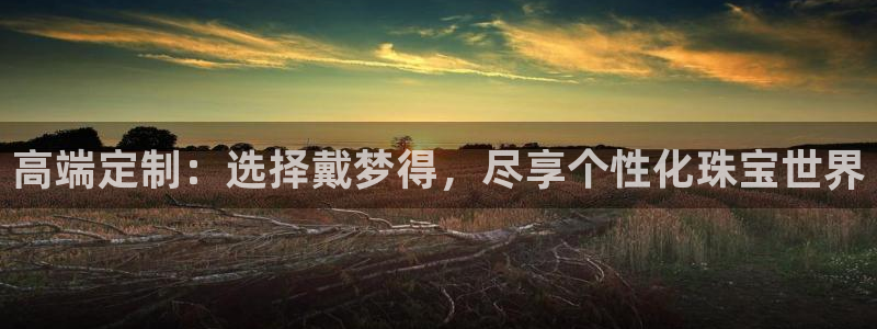 天宏娱乐胡叔