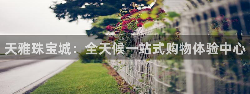 天亿娱乐宏发团队成员