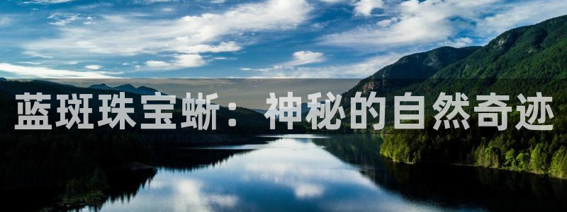 天宏娱乐河源店：蓝斑珠宝蜥：神秘的自然奇迹