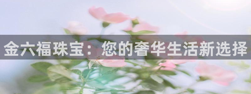 天宏娱乐2：金六福珠宝：您的奢华生活新选择