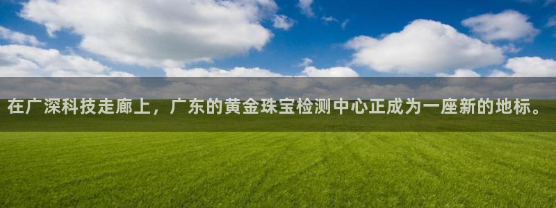 天宏娱乐湖北：在广深科技走廊上，广东的黄金珠宝检测中心正成为