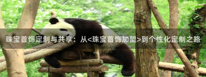 天宏娱乐直播在线观看高清：珠宝首饰定制与共享：从<珠宝首饰加