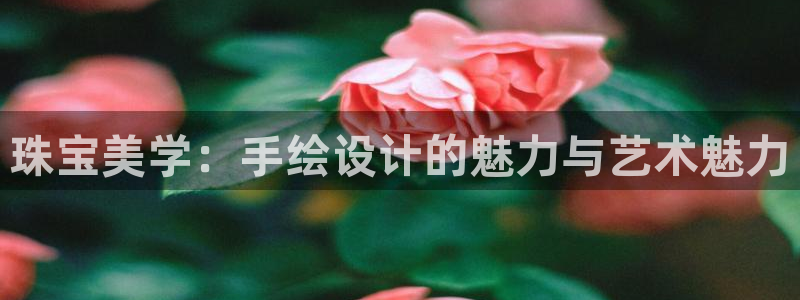 天宏娱乐北北