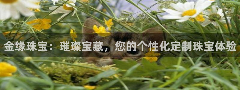 天宏娱乐岁月悠然
